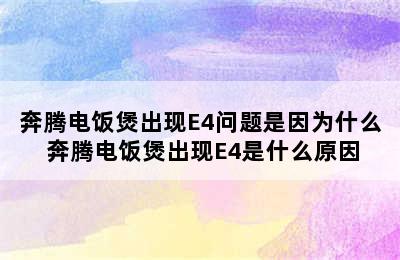 奔腾电饭煲出现E4问题是因为什么 奔腾电饭煲出现E4是什么原因